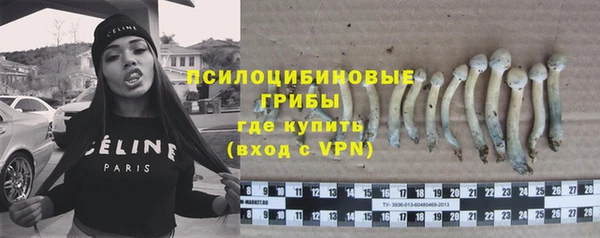каннабис Богданович