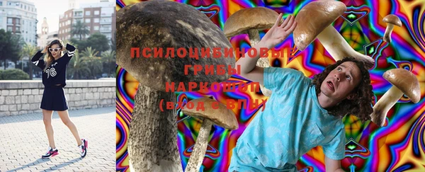 каннабис Богданович