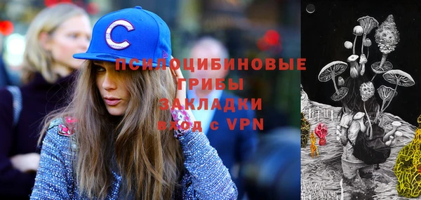 каннабис Богданович
