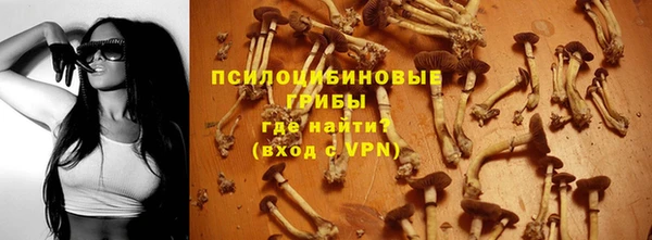 каннабис Богданович