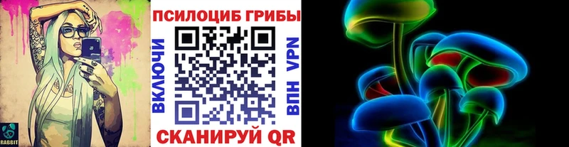 MEGA онион  Среднеуральск  дарк нет клад  Галлюциногенные грибы Cubensis 
